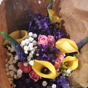 Meet your Posher, Karina